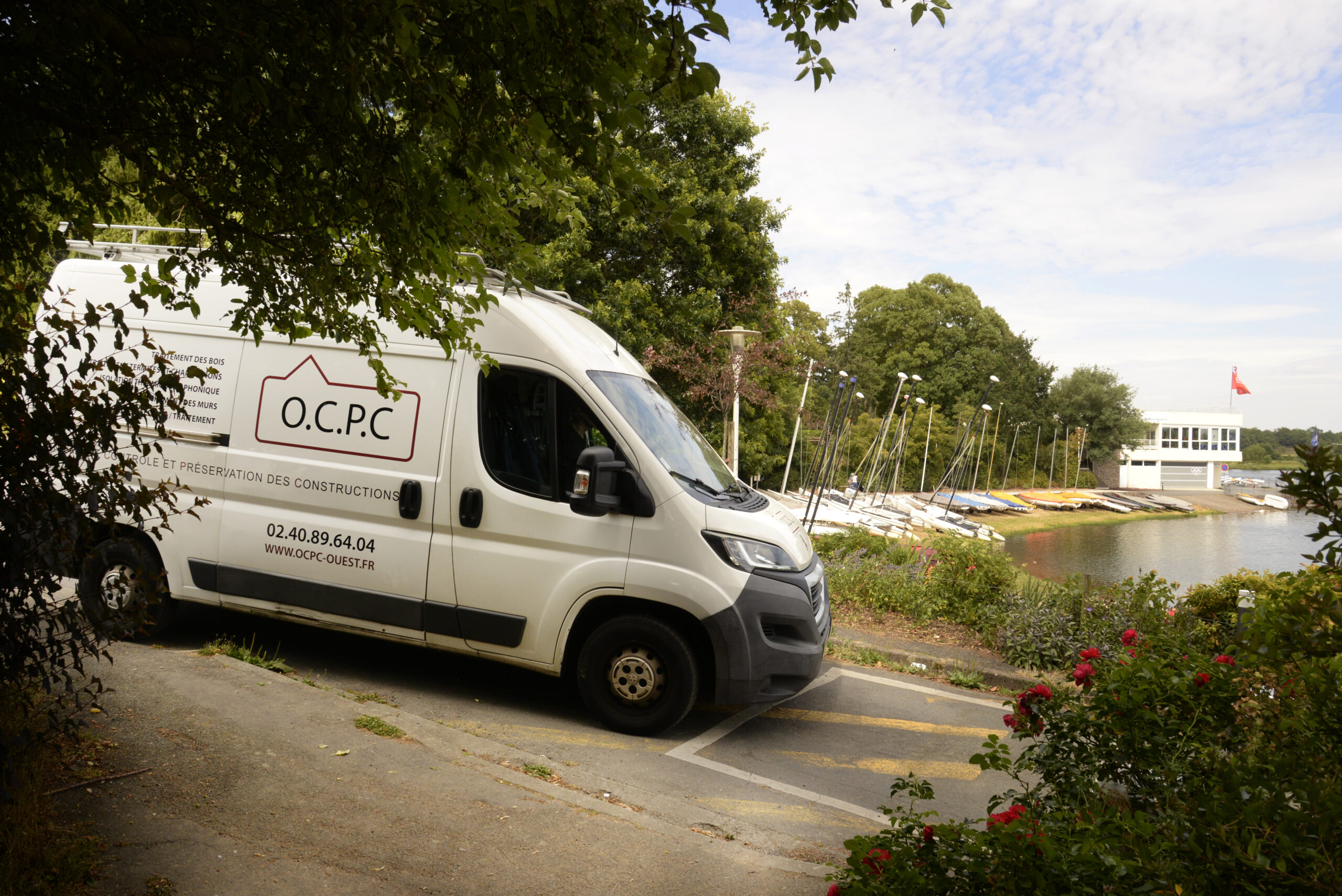 Entreprise de traitement de la mérule à Cholet - O.C.P.C